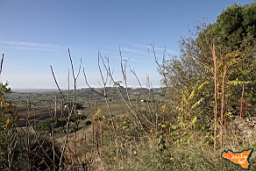 Santa Ninfa 19 11 2016 161.jpg